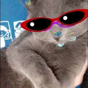 Meet your Posher, Emma